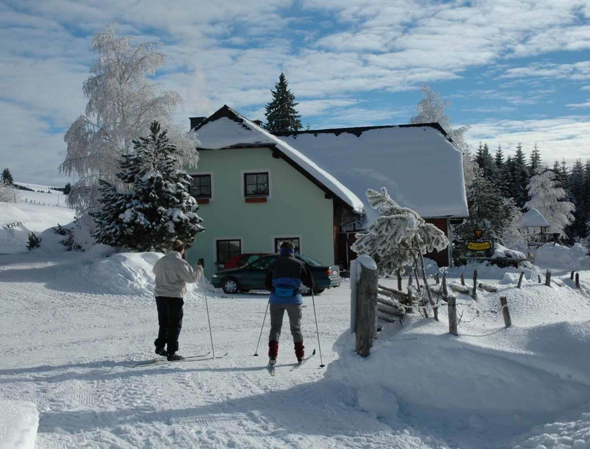 Pension Holzmeister Sankt Kathrein am Offenegg Luaran gambar