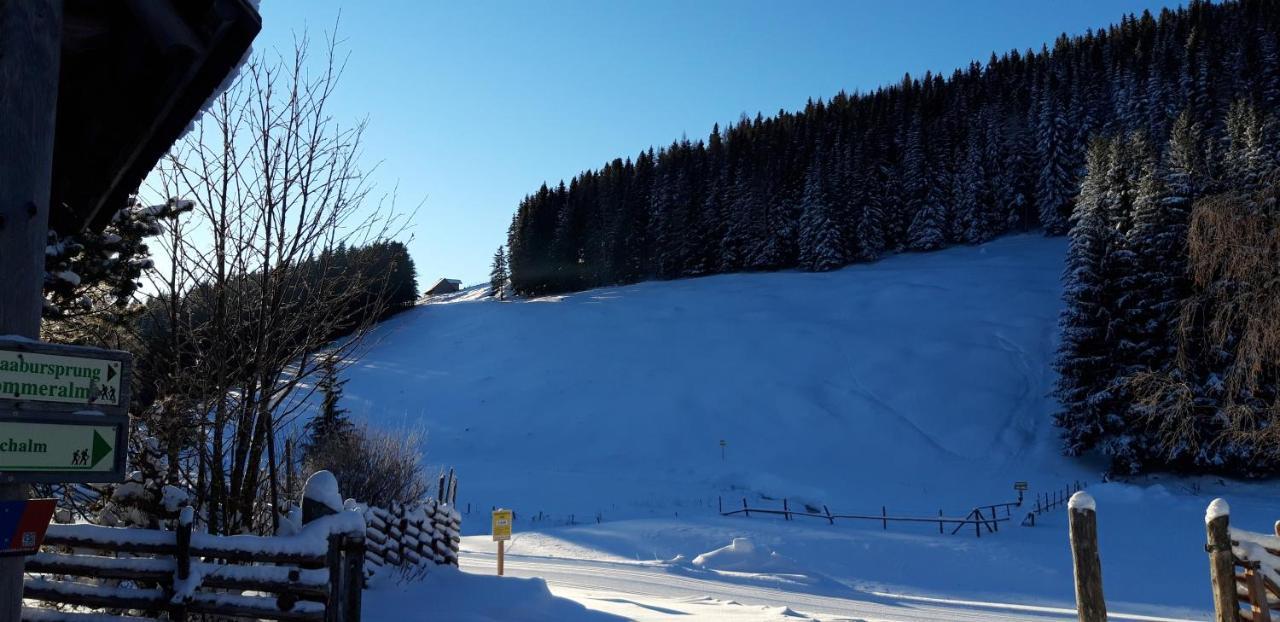 Pension Holzmeister Sankt Kathrein am Offenegg Luaran gambar